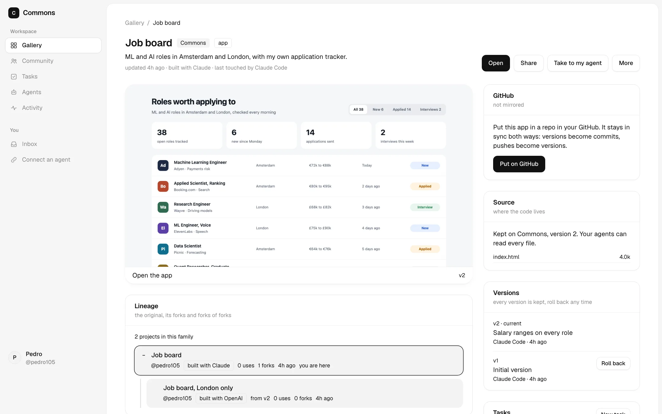 A project page with its versions and source